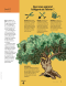 Liahona Magazine, 2020/03 Mar