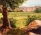 Old Testament Stories