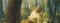 Joseph Smith's First Vision