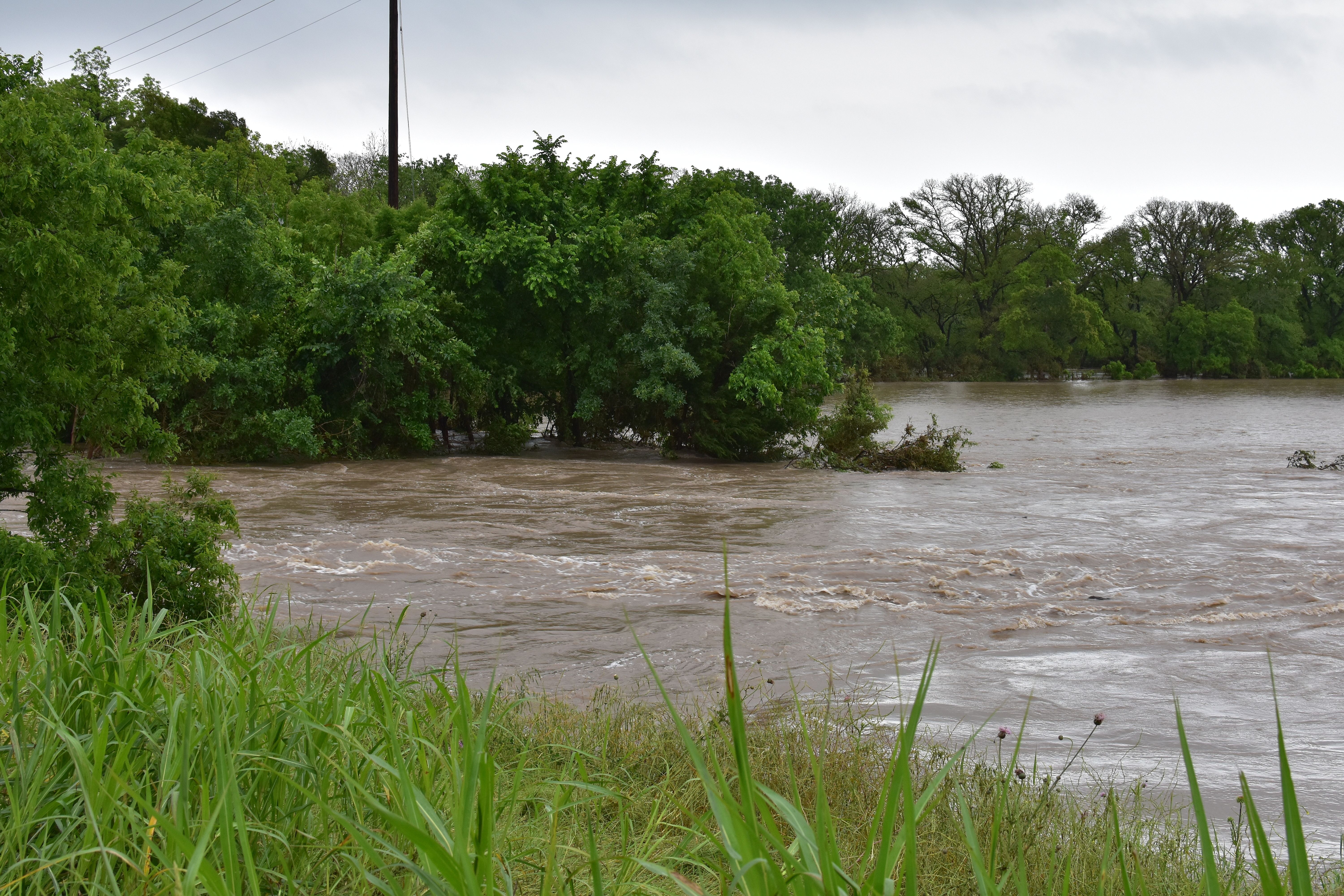 Floodwater Facts for Volunteers