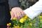 Courtship and marriage